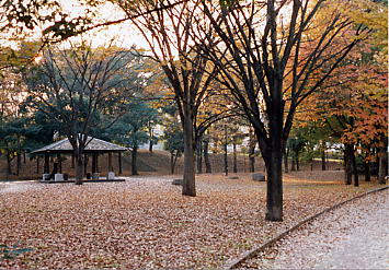 赤塚公園の秋